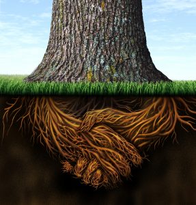 Strong deep business roots as a tree trunk with the root in the shape of a hand shake as a symbol of unity trust and integrity in finance and relationships.